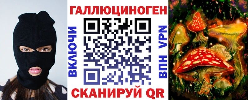 OMG онион  Оса  Галлюциногенные грибы Psilocybe  цена  